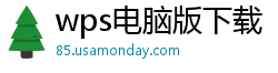 wps电脑版下载